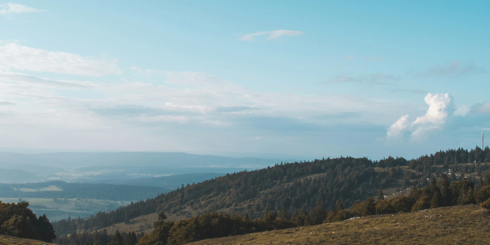 Les Avantages d'Une Licence en Informatique