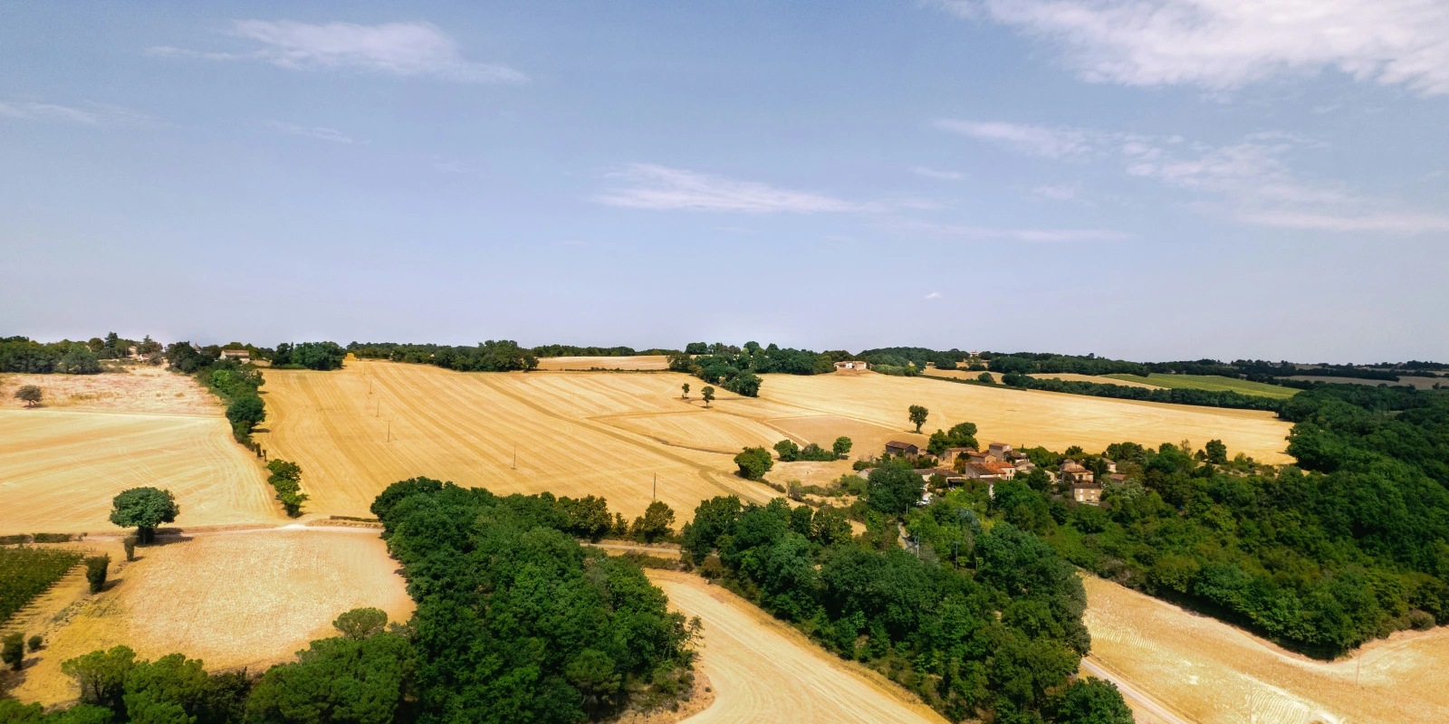 Les Défis d'une Licence Informatique à Distance
