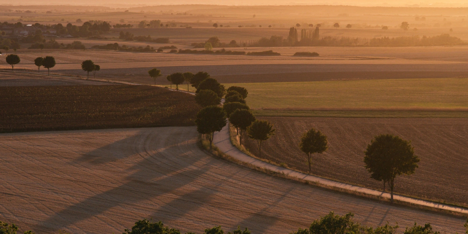 Les Défis de la Licence Informatique à Lyon 1