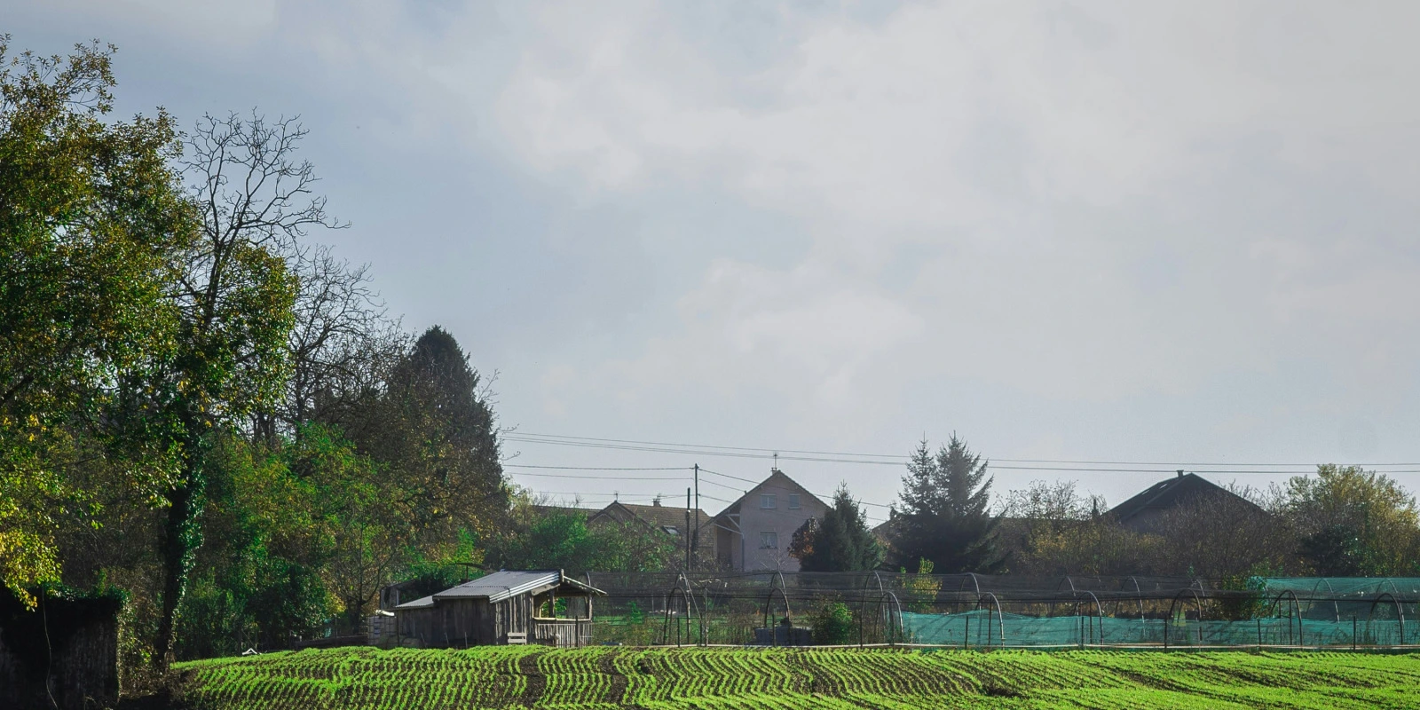 Les Défis en Licence Informatique