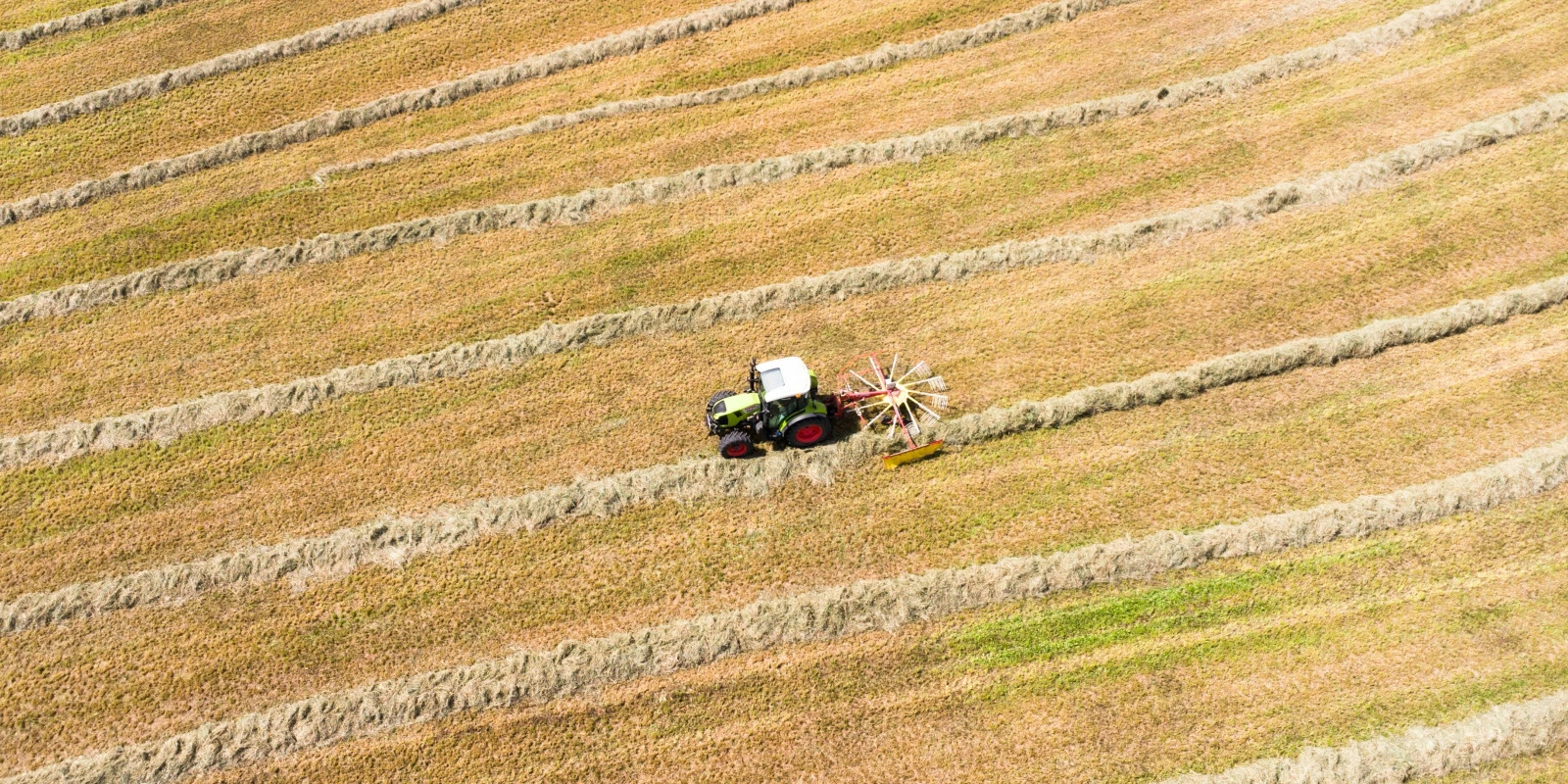Les Métiers Possibles après une Licence d'Informatique à Lyon 1