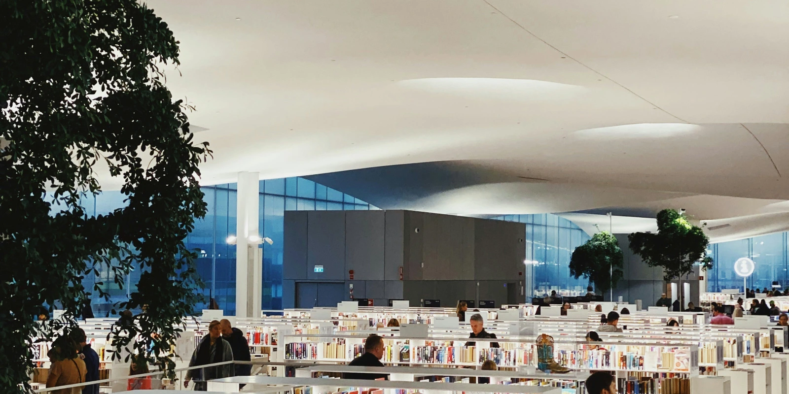 Les Programmes en Licence Informatique à Montpellier