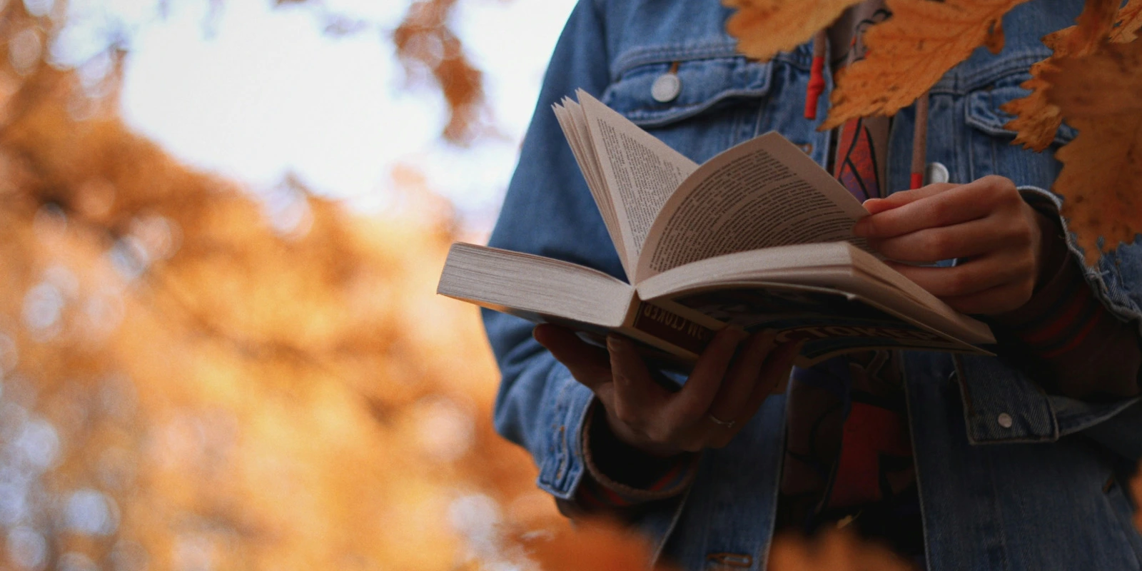 Programme de Licence Informatique à Toulouse